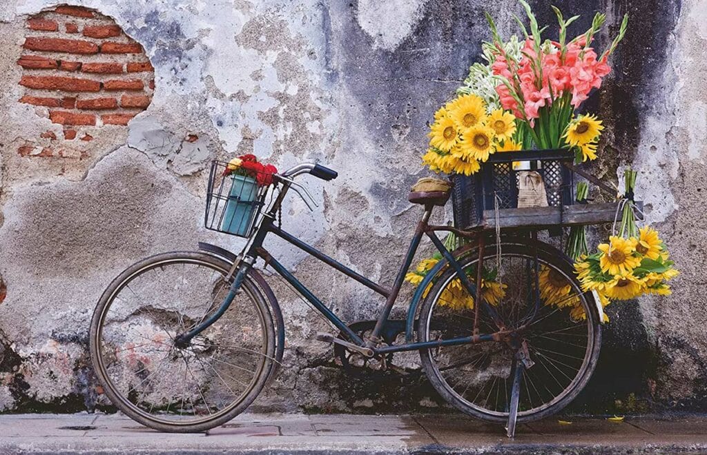 Pussel Moment – Cykel 200 bitar