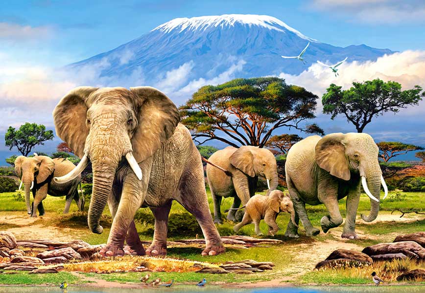 Pussel – Morgon vid Kilimanjaro – 1000 bitar