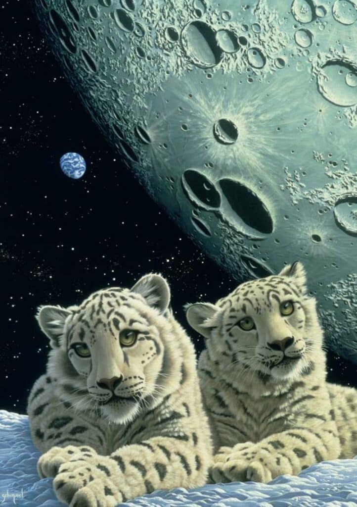 Art Pussel – S.Shimmel: Snöleopardens Lya 1500 bitar