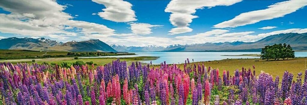 Panorama Pussel – Humboldt: Lake Tekapo 1000 Bitar