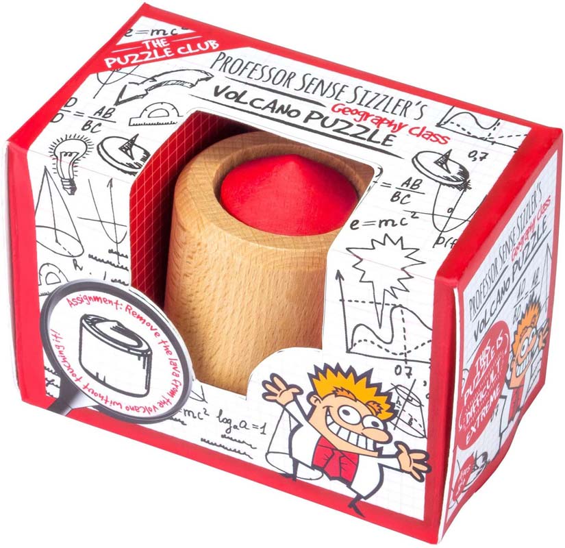 Professor Sense Puzzle