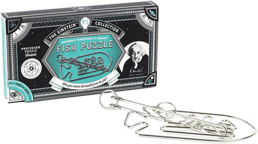 Einstein’s everyone’s a genius fish puzzle no.5