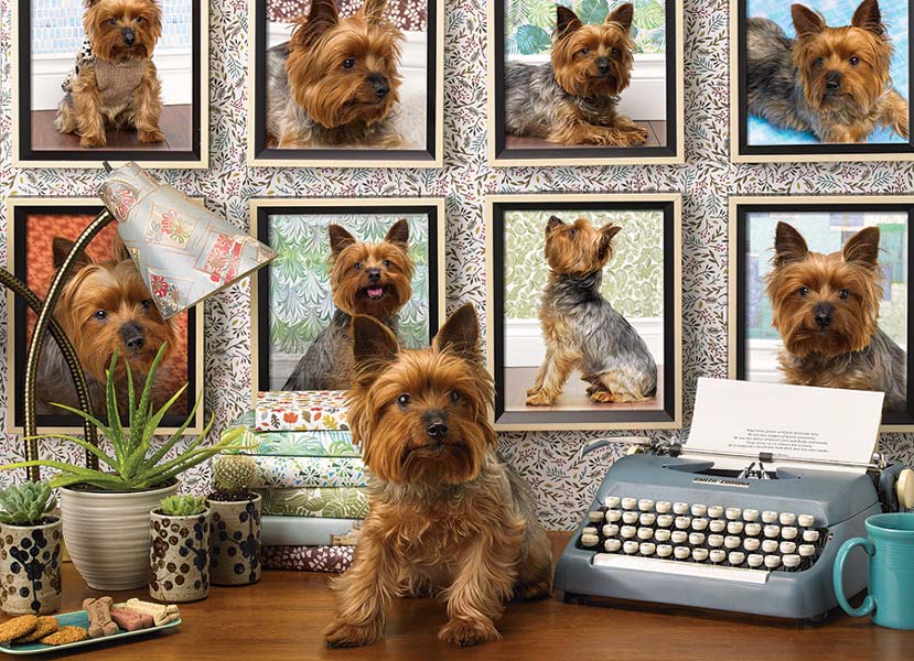 Pussel – Yorkshireterrier 1000 bitar