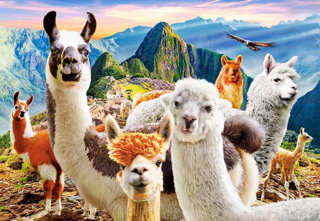 Pussel – Llama Selfie 1000 bitar