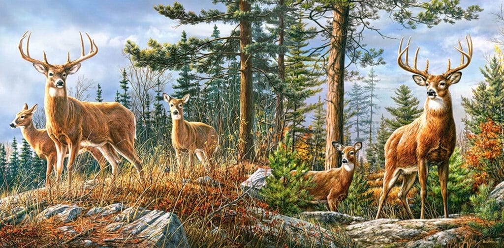 Pussel – Kunglig Hjortfamilj 4000 bitar