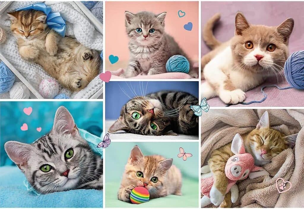 Barnpussel – Kattvärlden 100 bitar