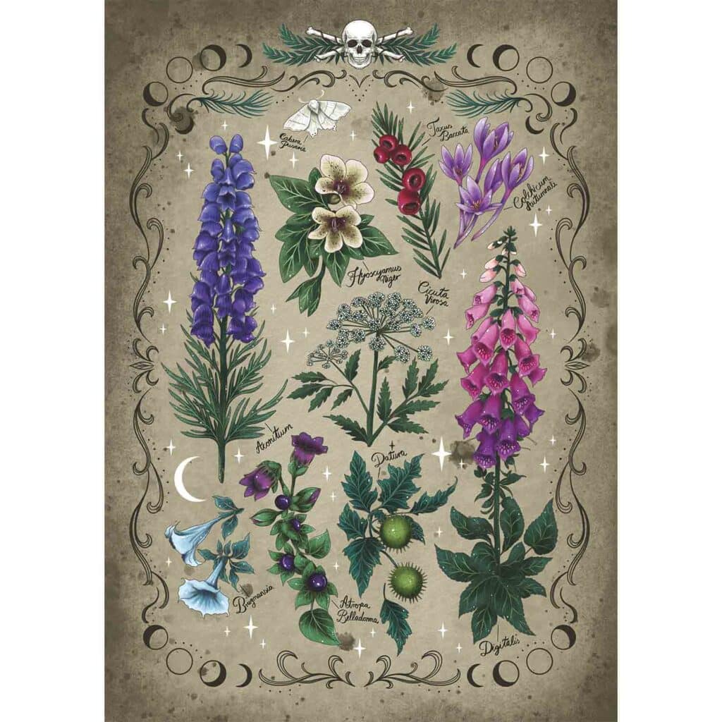 Ravensburger Pussel – Giftiga växter 1000 bitar