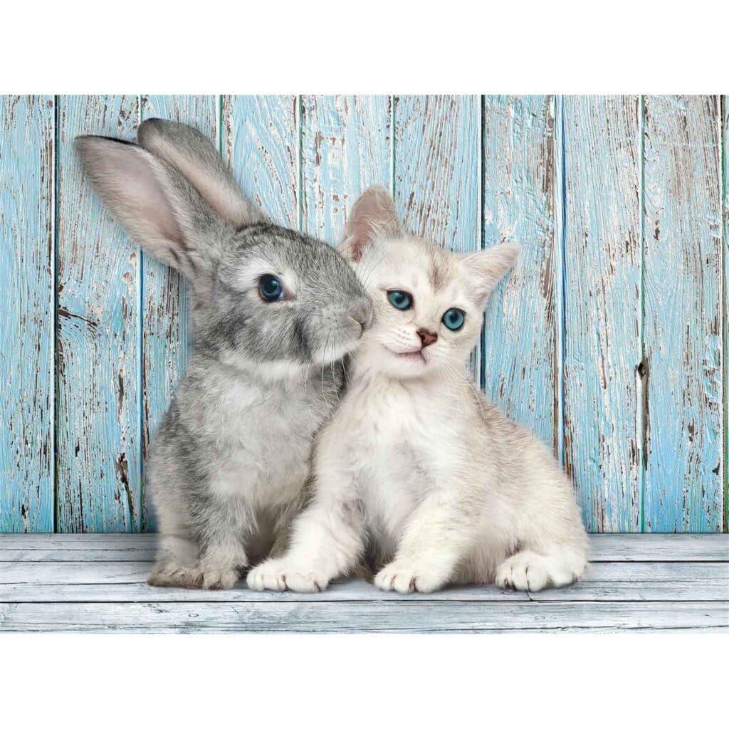 Pussel – High Quality Collection Cat & Bunny, 500 bitar