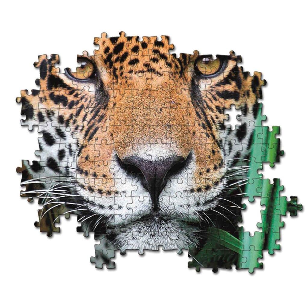 Pussel – High Quality Collection Jaguar in the Jungle, 500 bitar