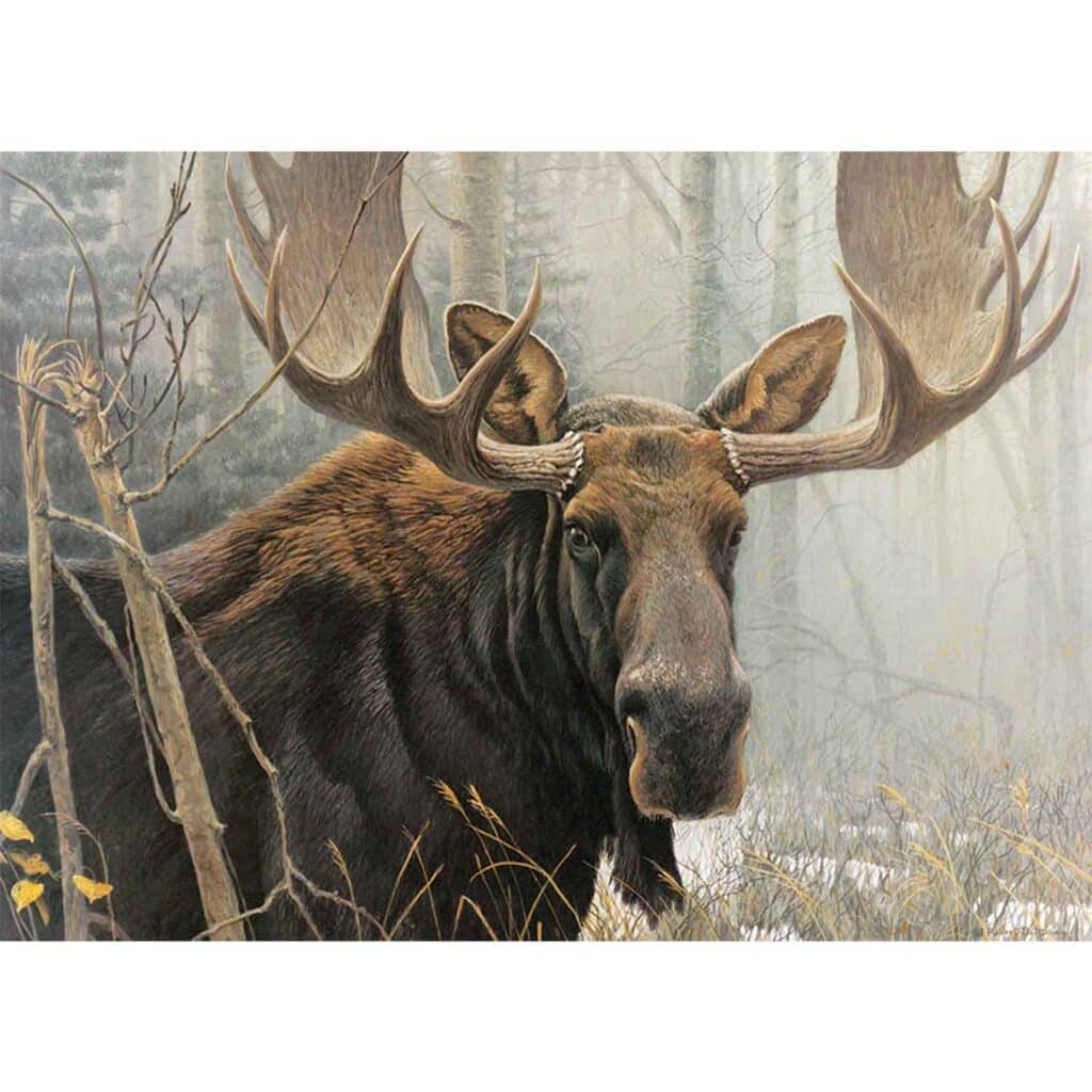 Pussel – Bull Moose, 500 bitar