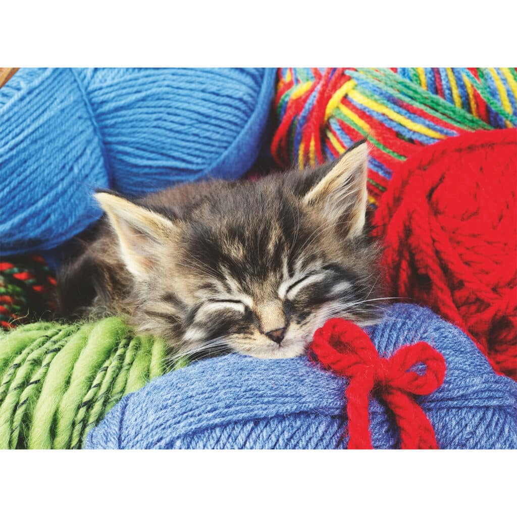 Ravensburger Pussel – Ull-Katt 100 bitar