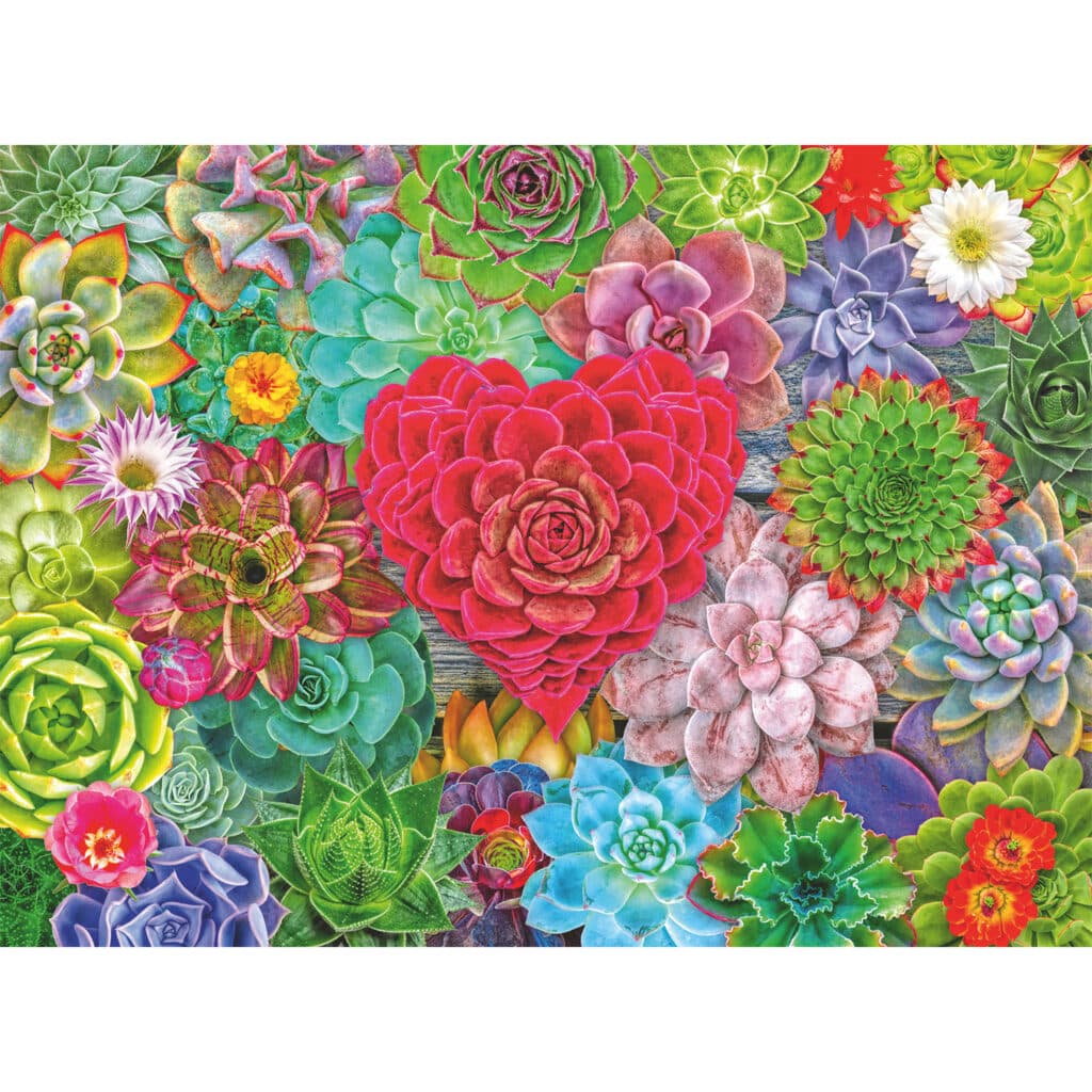 Pussel – Succulent Love 500 bitar