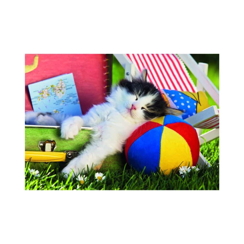 Pussel – Kitten nap, 100 bitar