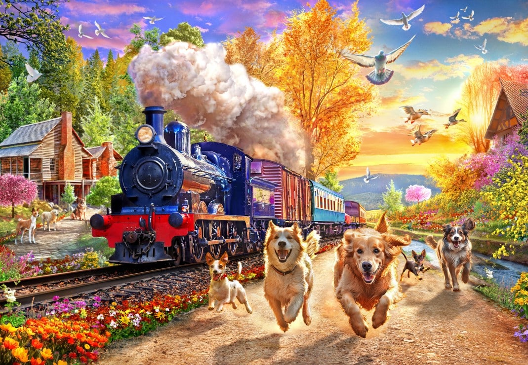 Pussel - Following the Train 1000 Bitar