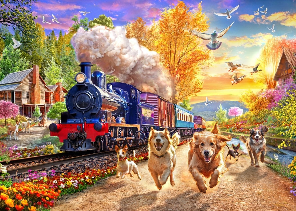 Pussel - Following The Train,300 Bitar