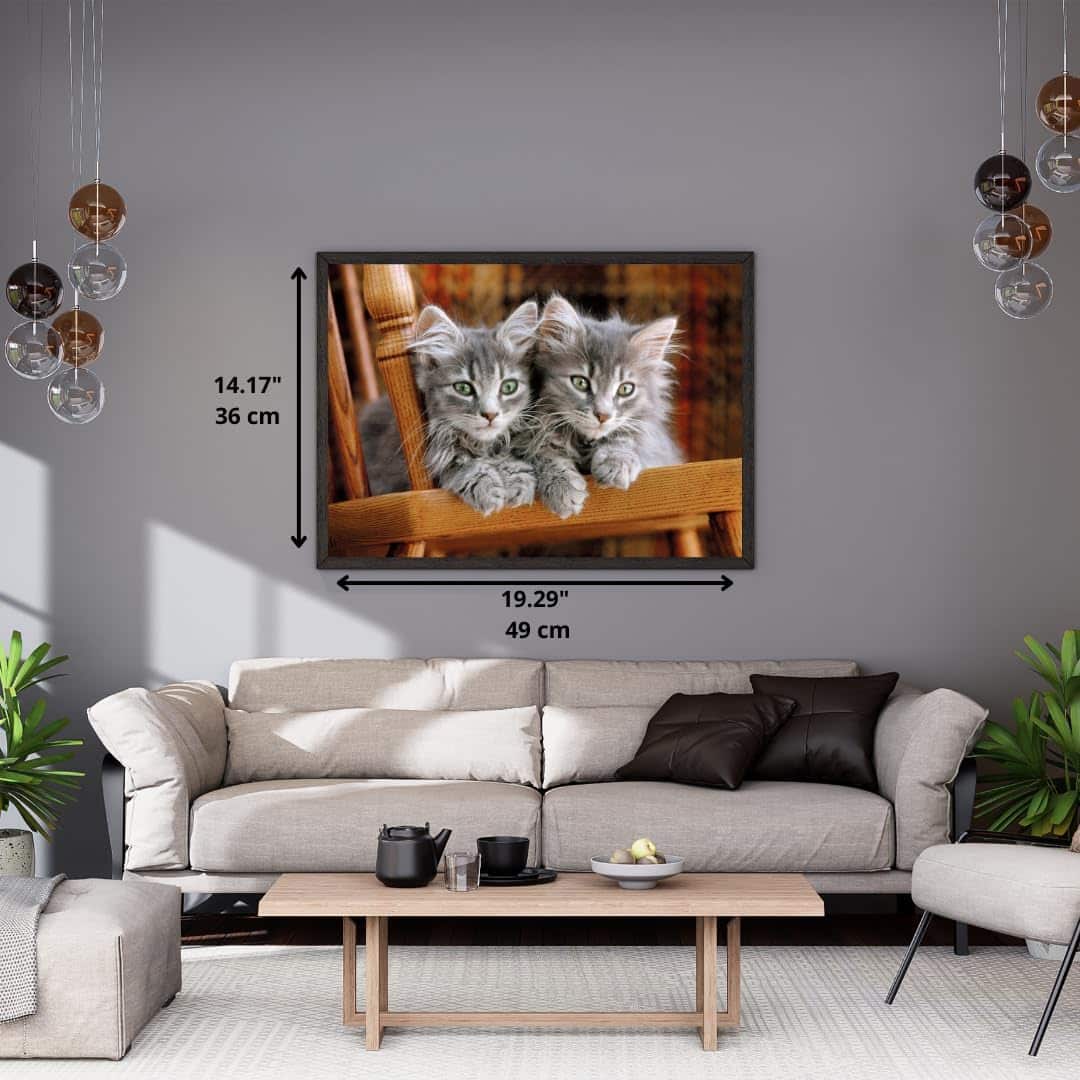 Clementoni Pussel – Kattungar 500 bitar - Bild 5