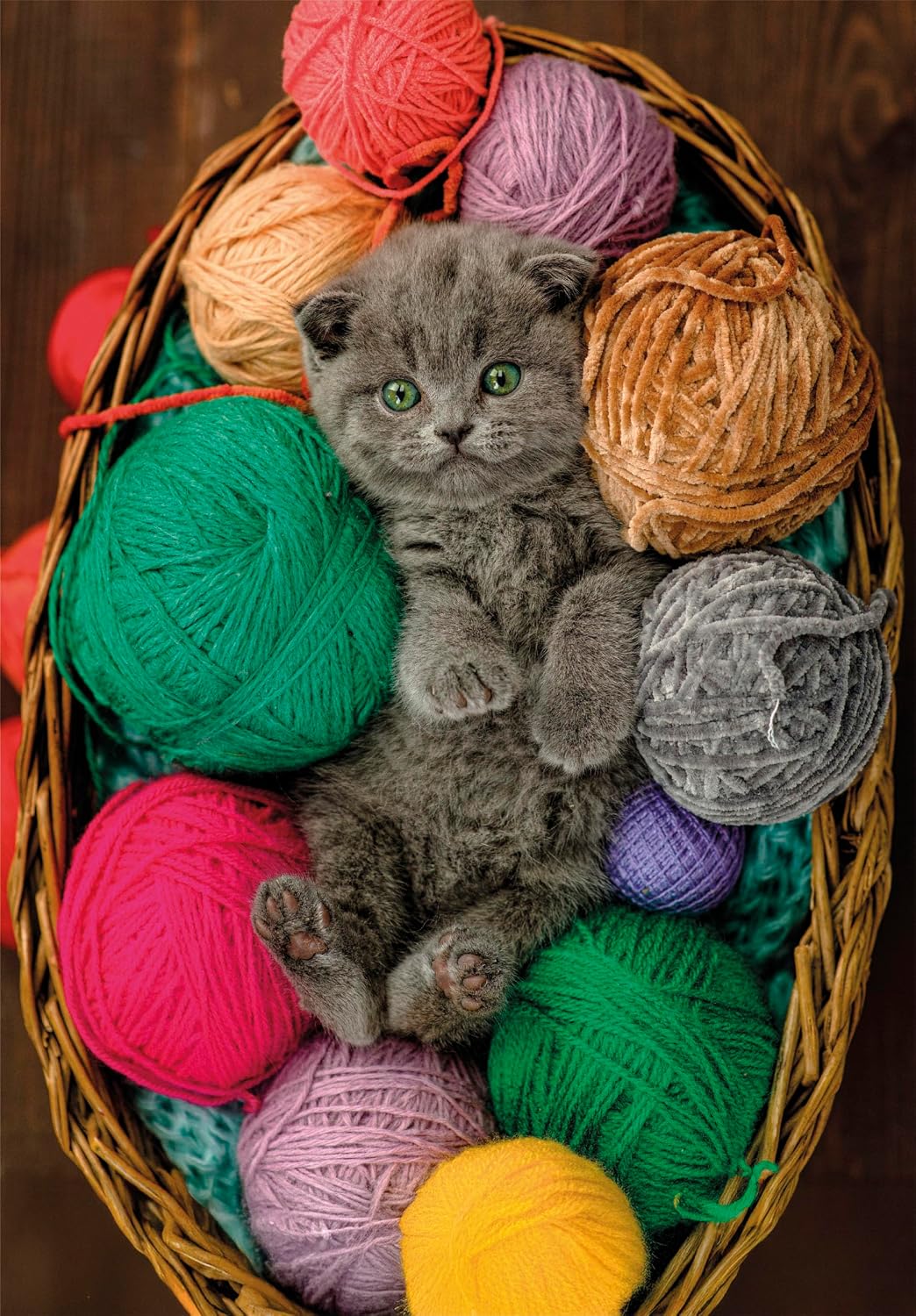 Clementoni Pussel – Fluffig kattunge 500 bitar - Bild 2
