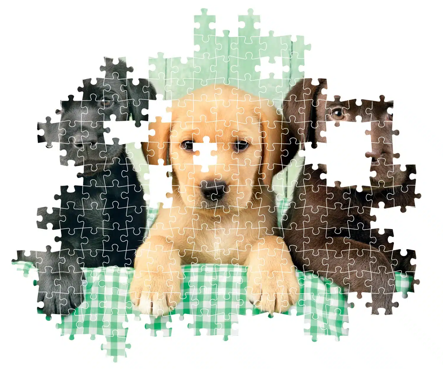 Clementoni Pussel – Tre labradorer 1000 bitar - Bild 3
