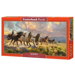 Castorland Panoramapussel – Åskprärie 4000 bitar